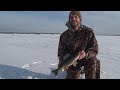 Discovering - Fish Carver, A day on the Bay