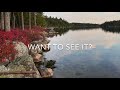 Lakefront Cabin for sale Surrounded by Conservation | Maine Real Estate SOLD