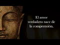 Citas del maestro zen que sacudirán tu realidad | Sabiduría zen