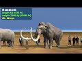 Animal Size Comparison: Living and Prehistoric I 3D Animation