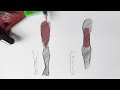 I'll teach you drawing bodies in 10 minutes. (Yes, really.) | DrawlikeaSir