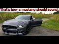 Mustang GT S550 - STRAIGHT PIPE Pt. 1 (How a Mustang Should Sound)