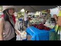 Chợ trời Folida Tampa. Y như ở Việt Nam. Nhiều trái cây tươi ngon 🙋‍♂️❤️🥰# 383