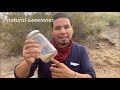 Desert Survival Food: Mesquite/Making Primitive Cakes and Coffee