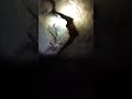 crazy cave