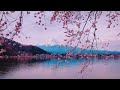 Escape to Japan 🌸🇯🇵 | Relaxing Japanese Music for Sleep, Study, Meditation