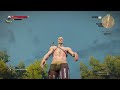 The Witcher 3: Wild Hunt Geralt Broke His Arm Bug, and it stays broken._.