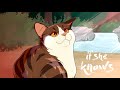 Goddess 💫 [Mothwing & Leafpool PMV]