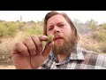 Bushcraft meal: Steak in the Desert