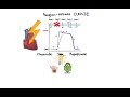 Pharmacology - ANTIARRHYTHMIC DRUGS (MADE EASY)