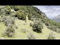 20 Minutes of Relaxing New Zealand Nature | Ambient Mountain Scenes