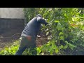 REVIVAL of an abandoned house for 50 years - AMAZING TRANSFORMATION when cleaning