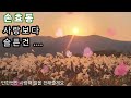 ⚘️손효동❤️사랑보다 슬픈건(가사첨부)