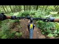 Great Woods MTB Trails, Quantock Hills