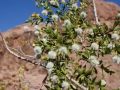 Papago Park-Hole in the Rock