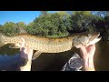 Pike And Muskie Were CRUSHING The Whopper Plopper!