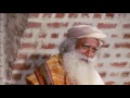 Why Wait? | Sadhguru