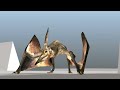 pteranodon pole vault and landing animation (3D)