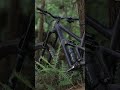 Introducing the ALL-NEW Ibis Cycles Ripmo V3 and Ripley V5!