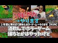 こうたん弟からこうたんの飲酒配信についてのリークが来た件について - マインクラフト【KUN】