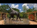 Jacksonville Zoo April 26 2022