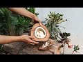 super fantastic coconut cutting skills, amazing coconut peeling skill #cuttingskills #coconutmilk