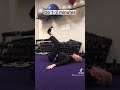 Spine Mobility/health Level 2d