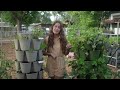 See How This Micro Homesteader Grows Food for Her Family on 1/10th of an Acre