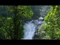 Relaxing Music for Stress Relief, Calm, Study | Beautiful Nature & Water Sounds