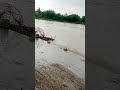 wardha river #flood | rail bridge #pulgaon plz like,share and subscribe the channel🙏🙏