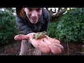 Beekeeping from day 1 to 2 years - WHOLE process from beginner beekeeper to my record honey harvest