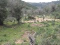 IDF - Open field squad drill