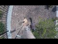 Bird Feeder GOPRO