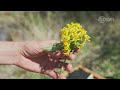 Atascosa Borderlands: A visual storytelling of the US-Mexico border by Jack Dash and Luke Takata