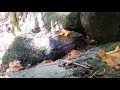 ASMR water falling Gulf Islands 2 minute break 4