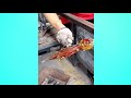 Amazing Glass Blowing By Professional Craftsman | Very Satisfying Video.