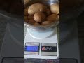 Time to weigh the potatoes