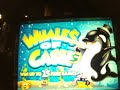 WHALES OF CASH SPECIAL 10 FREE GAMES & I WALKED AWAY A WINNER!  AT: BUFFALO BILL'S!  VegasLoveBug