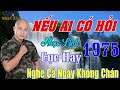 Nếu Ai Có Hỏi, Áo Cưới Màu Hoa Cà - Trường Vũ .LK Rumba Hải Ngoại Vượt Thời Gian, Đắm Say Bao Thế Hệ