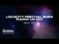 Liquicity Festival 2023 Warm Up Mix (Mixed By Ace-J)