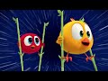 Chicky's sports trials | Where's Chicky? | Cartoon Collection in English for Kids | New episodes