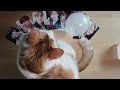 Unboxing ARMY BOMB last minute for SUGA|Agust D Concert