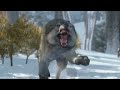 Assassin's Creed 3 Trailer Montage - Heart of Courage