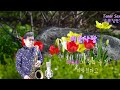 #미운사랑 #진미령cover #테너색소폰(Tenor Saxophone)