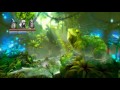 TRINE 2: DIRECTOR'S CUT for Wii U [Part 4] - Patience is a Virtue