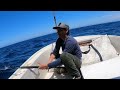 Câu Cá Ngừ Đại Dương Khủng Lồ - Trolling Madmac for Jumbo Bluefin Tuna Catalina Island @Cá Quá Cá TV