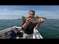 Boat fishing - bass, pollack & gulls??