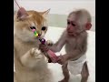 cute monkey :: care