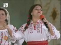 Madalina Modruj - Trandafir rosu batut