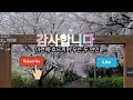 #잊을수가있을까/나훈아/cover 영역화백/1969/추억의 명곡/금영반주기